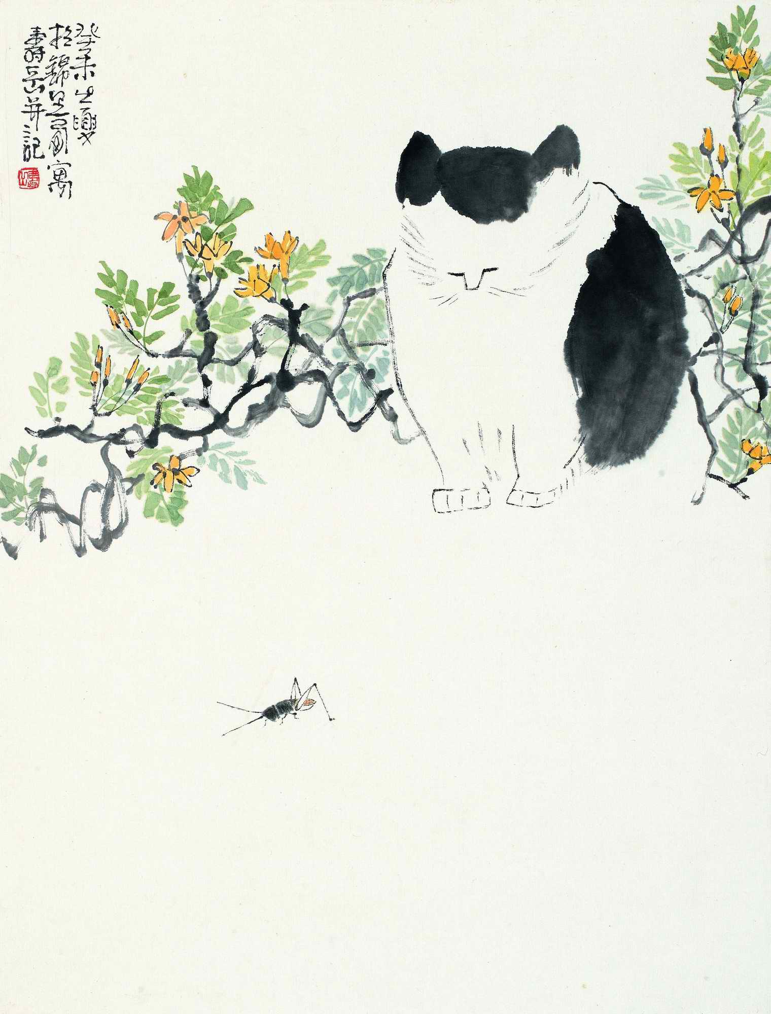 陈寿岳 猫