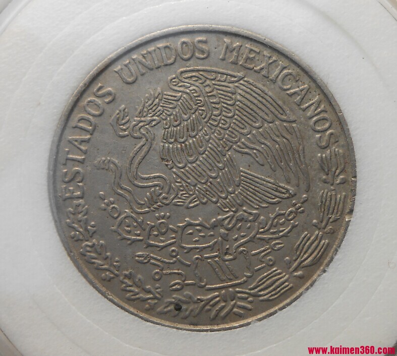 墨西哥硬币1.jpg